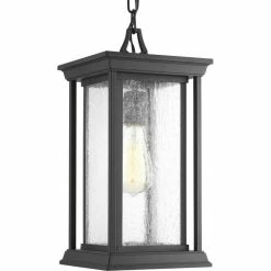 Brand new ๐ฏ Progress Lighting Endicott Collection 1-Light Hanging Lantern, Black โ