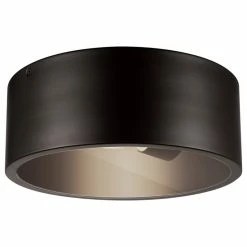 Promo 💯 Globe Electric Teagan 1-Light Dark Bronze Outdoor Indoor Flush Mount Ceiling Light 🛒
