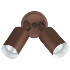 Buy 🔔 NICOR Lighting NICOR 100-Watt White Double Cylinder Adjustable Security Flood Light, Bronze 🤩