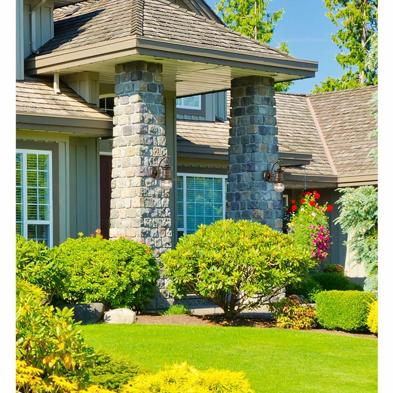 Coupon ๐ Elk Home Maritime 1-Light Wall Bracket, Hazelnut Bronze And Clear Seeded Glass ๐ - Image 2