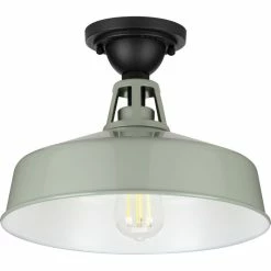 Deals 🎉 Progress Lighting Cedar Springs Collection Pistachio 1-Light Semi-Flush Mount 👍