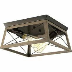 Hot Sale ⭐ Progress Lighting Briarwood Collection Two-Light Flush Mount 🌟