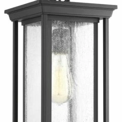 Best Pirce 😍 Progress Lighting Endicott 1-Light Hanging Lantern, Black 🥰