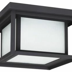 Flash Sale 🤩 Sea Gull Lighting 2-Light Outdoor Flush Mount, Black 😍