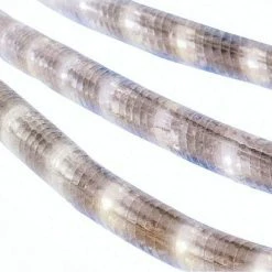 Best reviews of 🥰 Celebrations 2T41A115 Incandescent Flexible Rope Light, 18', 216 Clear Lights 🎉