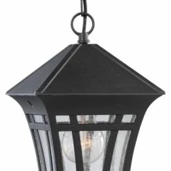 Flash Sale 🔔 Sea Gull Lighting Sea Gull Herrington 1-Light Outdoor Pendant 69131-12, Black 🧨