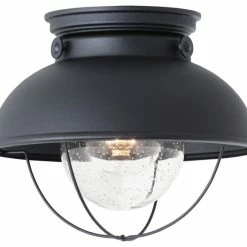 Budget 🔔 Sea Gull Lighting 1-Light Outdoor Flush Mount, Black 🤩