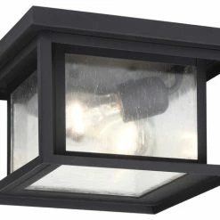 Best Pirce ✔️ Sea Gull Lighting 2-Light Outdoor Flush Mount, Black 🔥