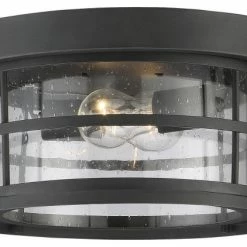 New 🎁 Savoy House Barrett Outdoor Ceiling Light, 2-Light, Black, 13"W 🥰